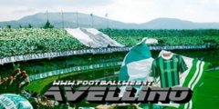 avellino